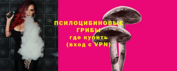 кокаин Богородицк