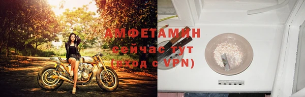 ешки Долгопрудный
