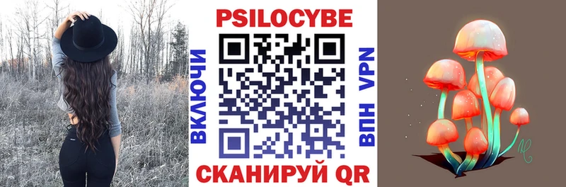 Псилоцибиновые грибы GOLDEN TEACHER  Гай 