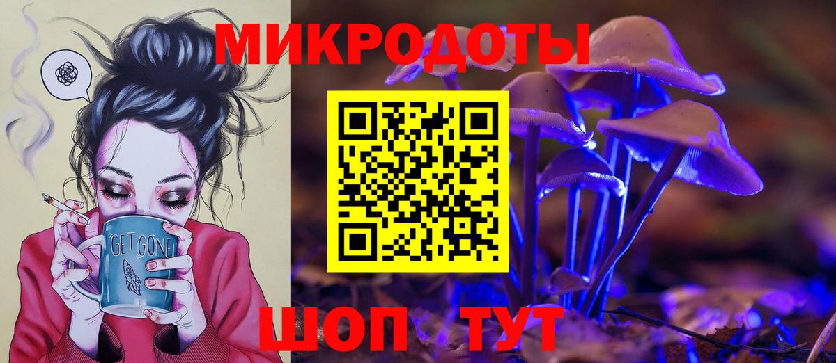 купить наркотик  Вход с VPN  Гай  Галлюциногенные грибы прущие грибы  Галлюциногенные грибы Magic Shrooms 